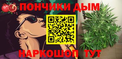 дурь Гатчина
