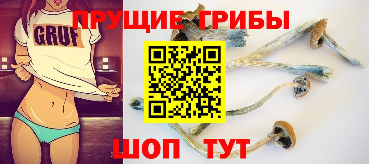 Псилоцибиновые грибы прущие грибы Нижний Новгород